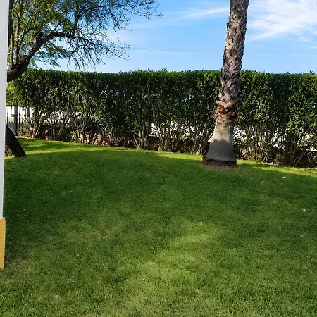 Vivenda Com Jardim E Piscina Villa *